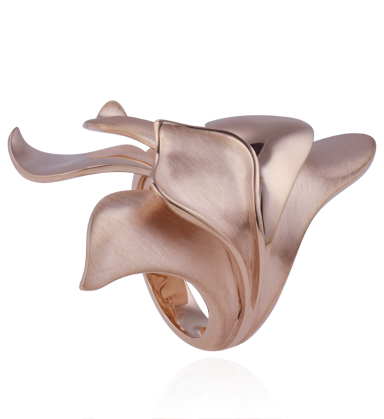 Anel Switzer Positano